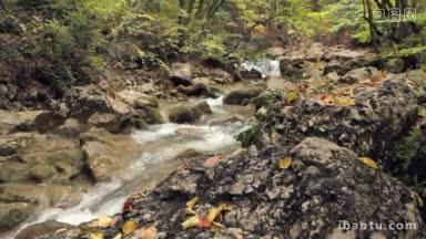 林间河流缓缓地流过青苔覆盖的岩石