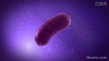 紫色液体中细菌快速增殖过程的特写