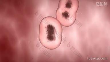 粉红色背景上有小颗粒的细胞增殖过程