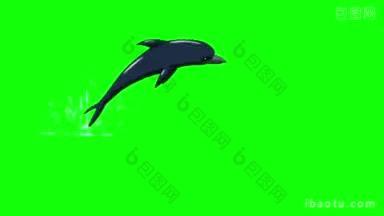 海豚跃出水面的动画画面