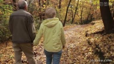 后景:相爱的老夫妇手牵手穿过秋天的林地，幸福的老夫妇正在<strong>散步</strong>