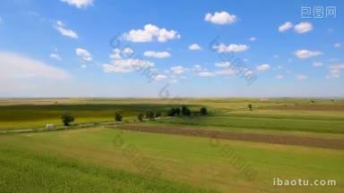 不同农作物的农田在黄色和绿色的航拍从<strong>无人机</strong>直接在田间拍摄