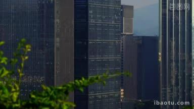 深圳排满了巨大的<strong>摩天大楼</strong>，在风中还有一株原始植物