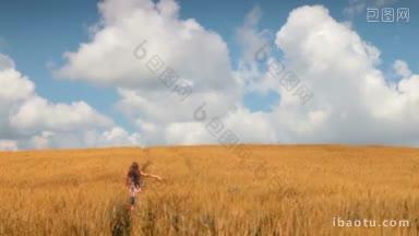 女人走在麦田里，衬着蓝天