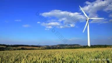 蓝天映衬下玉米地里的风力涡轮机