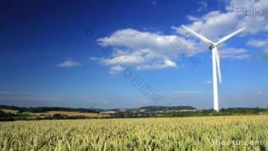 蓝天映衬下玉米地里的风力涡轮机