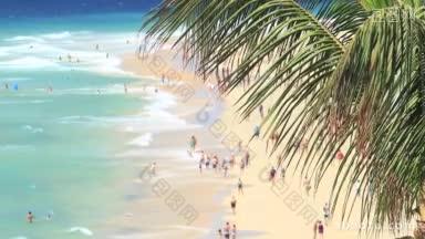 人们在海边晒棕榈海滩