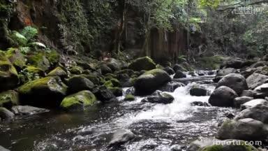 夏威夷雨林中被长满苔藓的巨石包围的河流