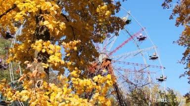 秋天的树，摇曳着黄色的叶子，在摩天轮后面，映衬着蓝天