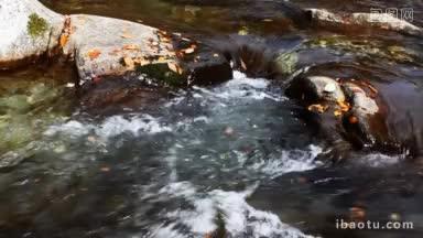 <strong>秋天</strong>的河里，落叶漂浮在水面上