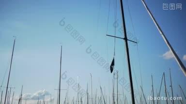 许多桅杆在港口摆动，一根桅杆上的海盗旗被聚焦