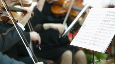 在音乐会上或招待会上演奏小提琴和大提琴