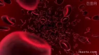 血液细胞流入静脉的可循环动画