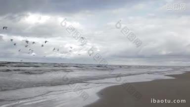 海鸥在海岸上空飞翔