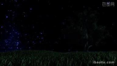绿茵草地上的树，星空下的流星