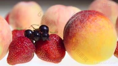 多利新鲜潮湿的水果和浆果背景