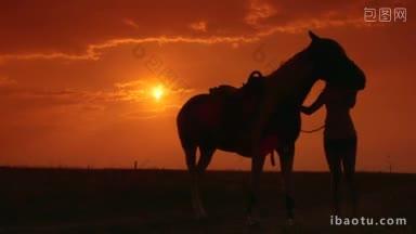 夕阳下年轻女子的剪影和训练马匹的田野