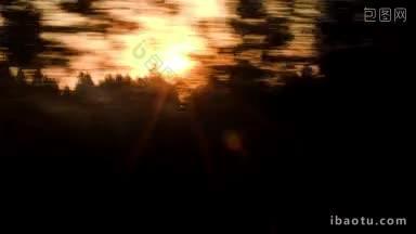 <strong>日落</strong>时，从一列移动的火车上看到的风景映衬着金色的夜空，黑色的树木剪影