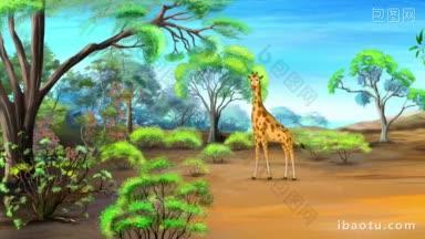 非洲长颈鹿在大草原上吃草在一个阳光明媚的夏天手工动画超高清运动图形