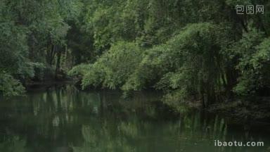 池塘边有空船，周围有树，长凳可以<strong>放松</strong>，榕树旁可以欣赏风景
