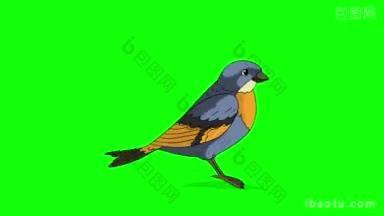 蓝鸟跳跃动画运动图形孤立在绿色屏幕上