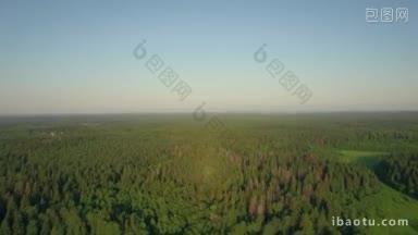 空中的绿色森林全景，广袤的野生自然和森林在<strong>俄罗斯</strong>
