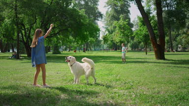 可爱的女孩培训狗绿色公园后视图孩子们玩抓宠物