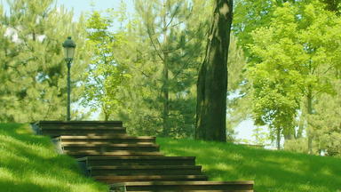 楼梯公园夏天公园步骤<strong>绿色</strong>森林环境