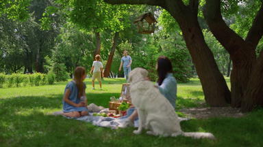 活跃的家庭休闲野餐公园父母有趣的孩子们狗