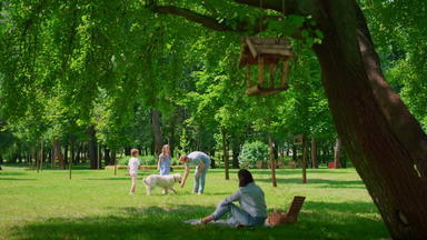 <strong>年轻</strong>的家庭活跃的休闲狗在户外快乐野餐绿色公园