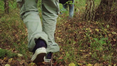 腿走旅行者特写镜头森林<strong>游客</strong>森林活跃的生活方式