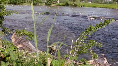 美丽的河水流景观字符串河流快水流动