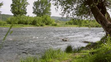 河流景观河水流动夏天自然背景