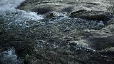 野生流清晰的<strong>水</strong>丰富的山河流动喀尔巴阡山