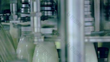 牛牛奶塑料瓶输送机带乳制品行业牛奶工厂