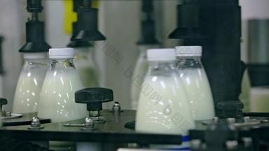 乳制品生产行牛奶生产行生产乳制品产品