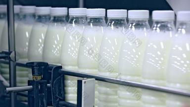 乳制品工厂输送机行制造业行乳制品植物牛奶工厂