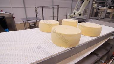 奶酪制造业行奶酪轮输送机带食物行业