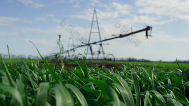 农业绿色摇摆风日益增长的灌溉系统<strong>阳光</strong>明媚的一天<strong>农场</strong>