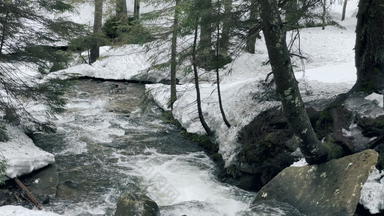 河快速雪景观冬天森林特写镜头河快速春天解冻