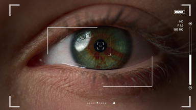 宏眼睛识别系统检查用户视网膜采取拍摄验证