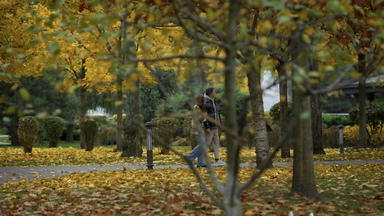 拍摄视图时尚的年轻的<strong>情人</strong>走手臂手臂树叶公园