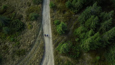 无人机人森林徒步旅行绿色云杉树探索自然土地