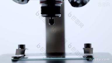 显微镜载波片研究的特写镜头实拍4k