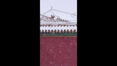 大雪中的红墙绿瓦屋顶