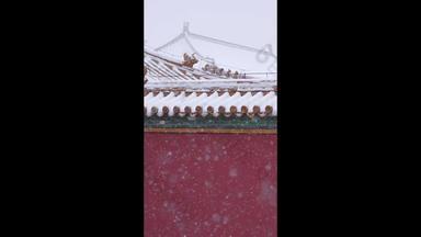 大雪中的红墙绿瓦首都高质量实拍
