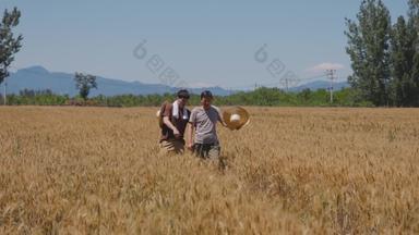 农民在田地里合作