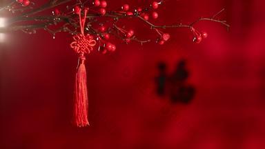 新年静物烟花庆祝花传统节日实拍