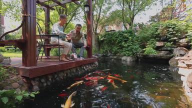 老年夫妇池塘休闲活动城市生活视频