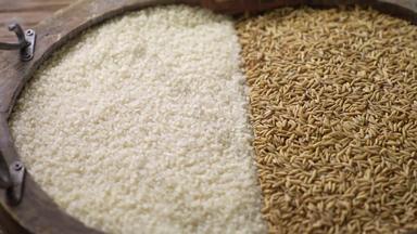 大米和稻谷稻素材